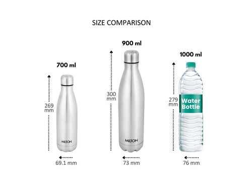 Milton Shine Stainless Steel Bottle