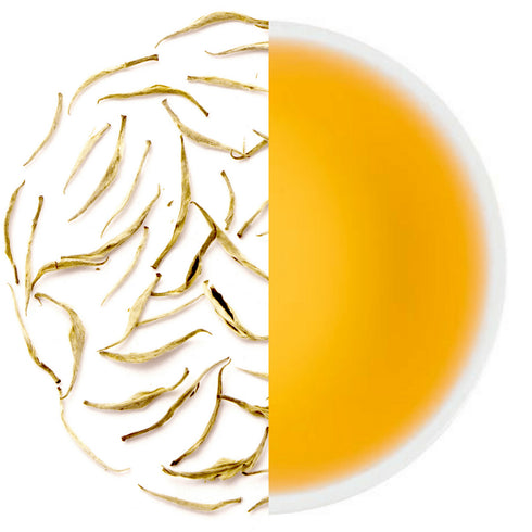 Tea Raja - Silver Needle Exotic White Tea
