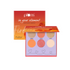 Plum In Your Element Eyeshadow Palette Easy to Blend 6in1 Palette 01 Fire