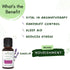 Mystiq Living Originals Lavender Essential Oil