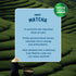 Sleepy Owl Coffee Vanilla Iced Matcha Premix