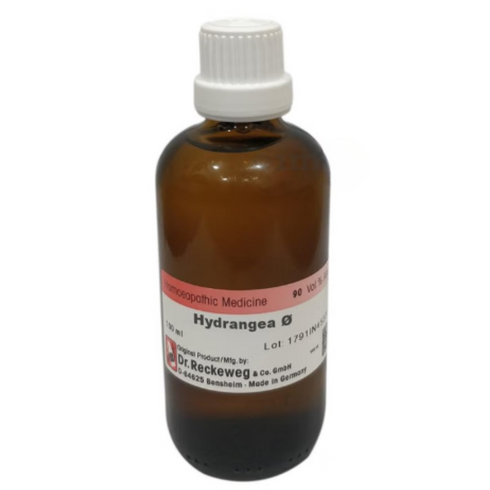 Dr. Reckeweg Hydrangea Mother Tincture Q