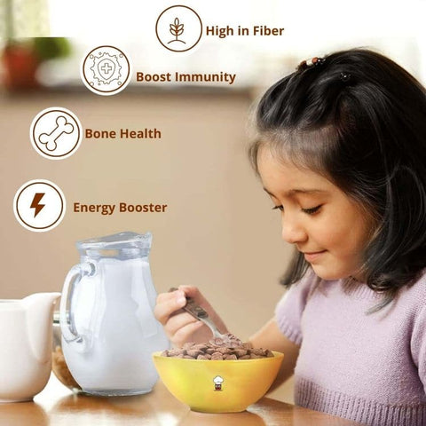 Healthy Master Choco Cream Fills