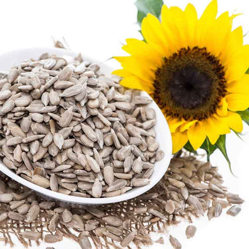 Healthy Master Sunflower Seeds |Surajmukhi ke Beej