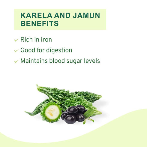 Vitro Naturals Karela Jamun Juice
