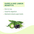 Vitro Naturals Karela Jamun Juice