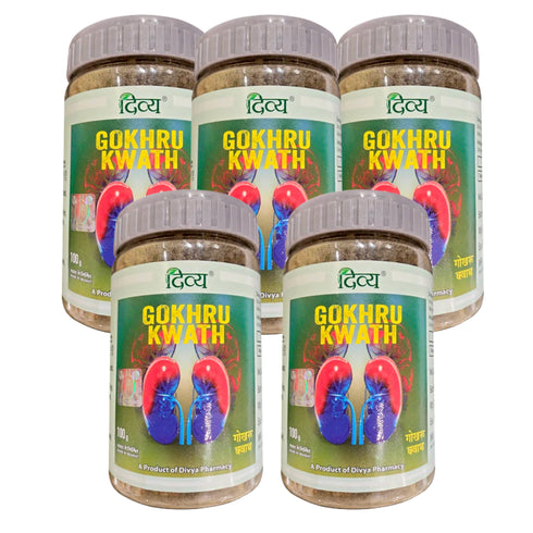 Patanjali Divya Gokhru Kwath 100g