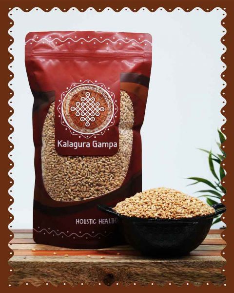 Kalagura Gampa Whole Wheat |SP Method