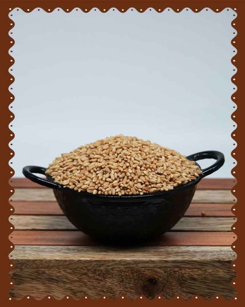 Kalagura Gampa Whole Wheat |SP Method