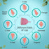 Floren Reusable Menstrual Cup with Intimate Wash for Women