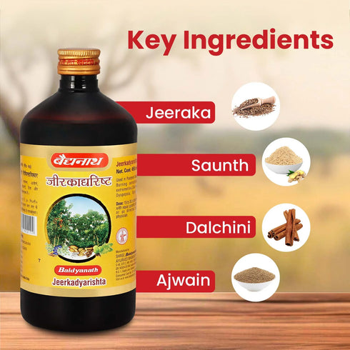 Baidyanath Jeerkadyarishta 450ml