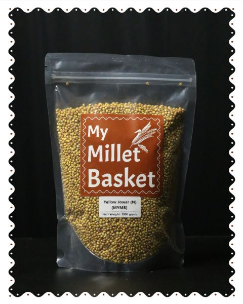 Kalagura Gampa Yellow Jowar
