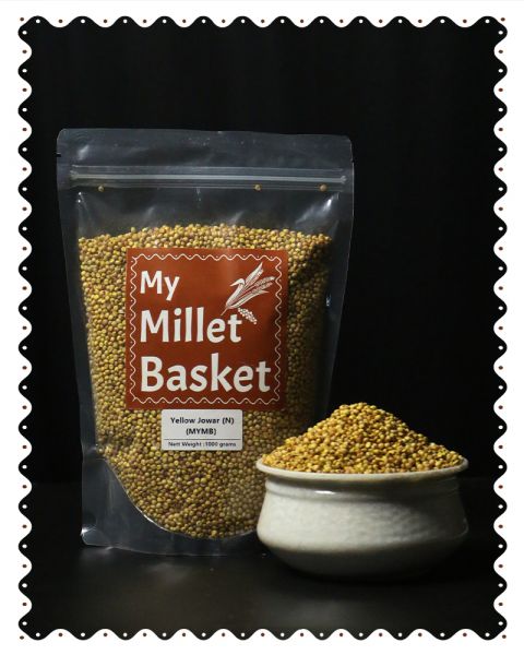 Kalagura Gampa Yellow Jowar