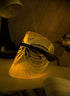 Chosen Light Routine LED Mask