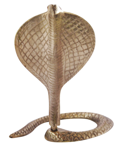 Brass Snake 0.3Kg