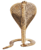 Brass Snake 0.52Kg
