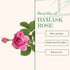 Good Vibes Damask Rose Glow Body Butter 100g