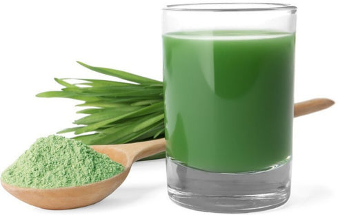 Herbs And Corps Wheatgrass Powder 454g