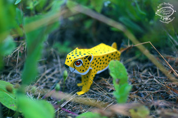 BOX SET of 12 DIY Mini Endangered Animals Paper Craft Kits