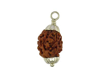 Patanjali 3 Mukhi Rudraksha With Cap