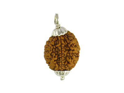 Patanjali 2 Mukhi Rudraksha With Cap