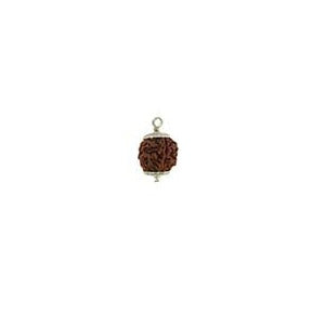 Patanjali 6 Mukhi Rudraksha With Cap