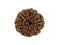 Patanjali 6 Mukhi Rudraksha Without Cap