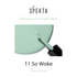 Spekta Gel Shine Nail Polish 11 So Woke Mint Green