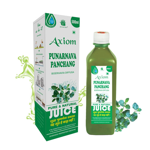 Axiom Punarnava Panchang