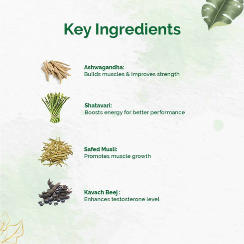 Dr. Vaidya's Herbobuild DS |Double Strength Tablets