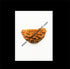 Natural One Face Rudraksha