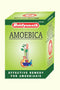 Baidyanath Amoebica Tablet 100Tablet