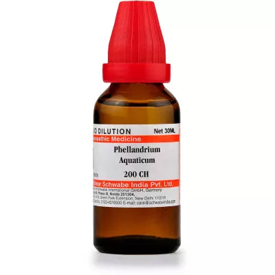 Dr Willmar Schwabe India Phellandrium Aquaticum Dilution