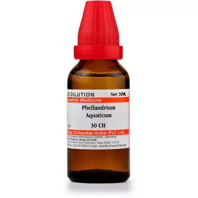 Dr Willmar Schwabe India Phellandrium Aquaticum Dilution