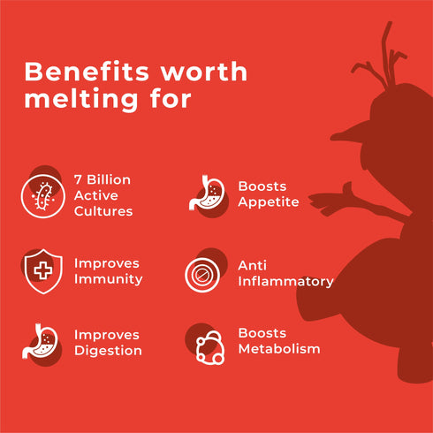 Wellbeing Nutrition Disney Frozen Probiotic