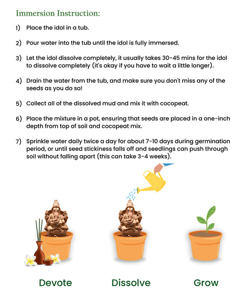 Seed Ganapathy 8.5" inches