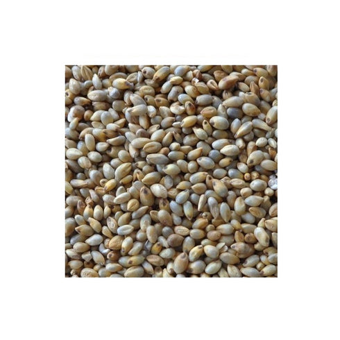 Prakruthi Pearl Millet 900g
