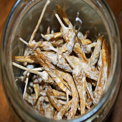 Aruna Foods Challa Mirapakayalu