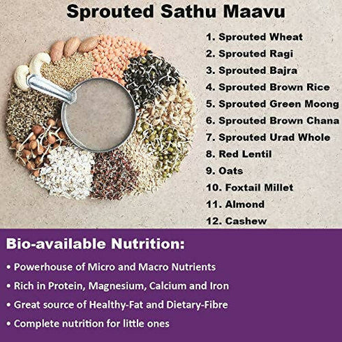 TummyFriendly Foods Organic Sprouted Sathu Maavu Porridge Mix