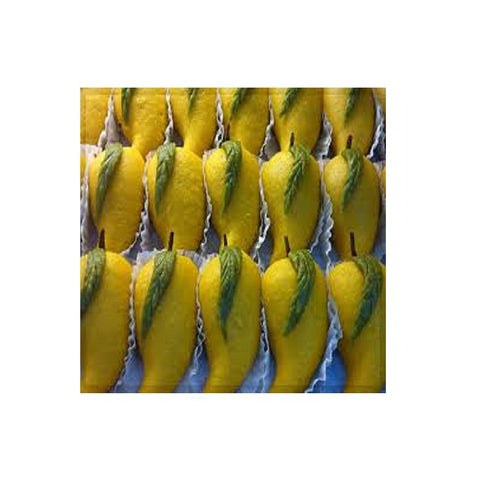 Olive Mithai Kaju Mango