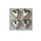 Sweet Magic Foods Kaju Dil Pasand