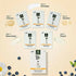 Organic Harvest Vitamin C Organic Facial Kit
