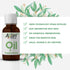 Allin Exporters Peppermint Essential Oil