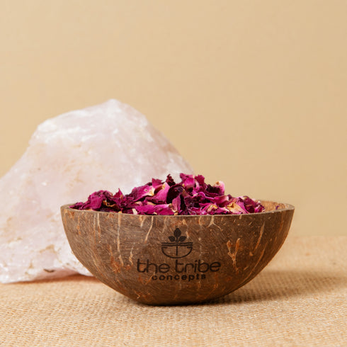 The Tribe Concepts Coconut Bowl