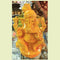 Fibre Ganesha - 600gms