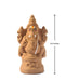 Seed Ganapathy 8.5" inches