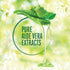 Lakme 9 To 5 Natural Aloe Aqua Gel 100g