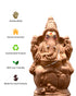 Seed Ganapathy 9.5" inches