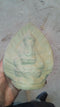 Clay Leaf Ganesh - 320gms