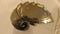 Peacock Plated Haldi Kumkum Tray - 150gms